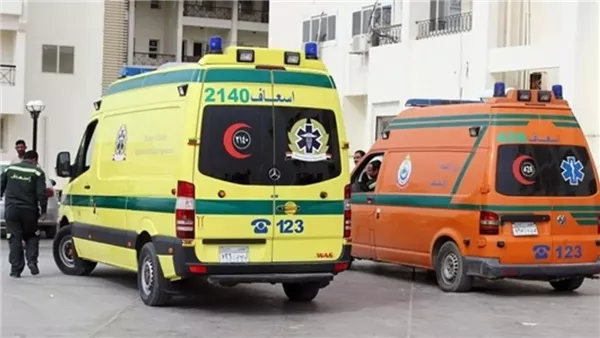 ثاني ضحايا العاصفة الترابية.. وفاة مسن سقطت عليه نخلة في طنطا