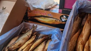 قبل شم النسيم .. ضبط أطنان من الرنجة والأسماك الفاسدة فى محافظة الشرقية