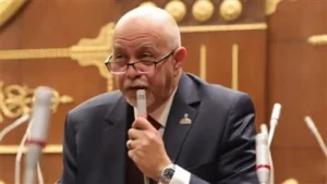 حازم الجندى: توجيهات الرئيس بمشروع قانون الأسرة تعيد انضباط العلاقات الأسرية