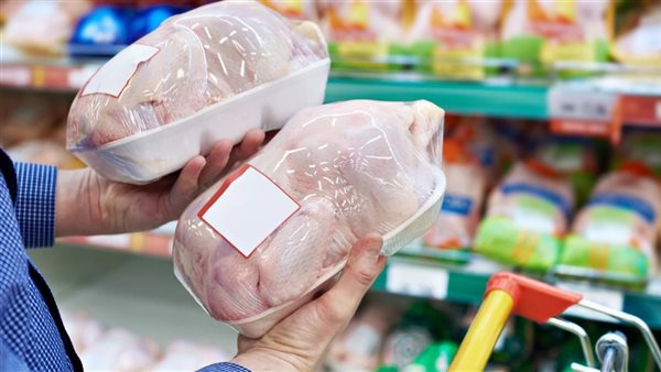 بعد هبوط حاد في الأسعار/ شعبة الدواجن: مصر توقف استيراد الفراخ المجمدة