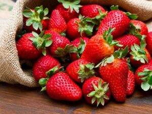 حقيقة احتواء بعض شحنات الفراولة المصرية المخصصة لتصديرها إلى الخارج على مواد مسرطنة؟