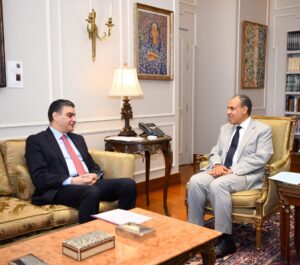 خطة لتعزيز الأمن الصحي.. مصر تفتح أسواق أفريقيا أمام الصناعات الطبية