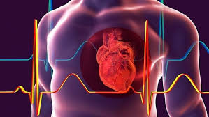 عادات يومية تعزز صحة القلب .. تعرف عليها