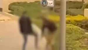 غدا.. الحكم على رجل الأعمال المتهم بالاعتداء على فرد أمن بالتجمع الخامس في استئنافه على حكم حبسه سنة