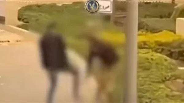 غدا.. الحكم على رجل الأعمال المتهم بالاعتداء على فرد أمن بالتجمع الخامس في استئنافه على حكم حبسه سنة