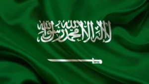 السعودية تفوز بجائزة المنظمة في مجال الخدمة العامة لعام 2026 عن مشروعَي “بنك البيانات الوطني” ومنصة “استشراف” الرقميين