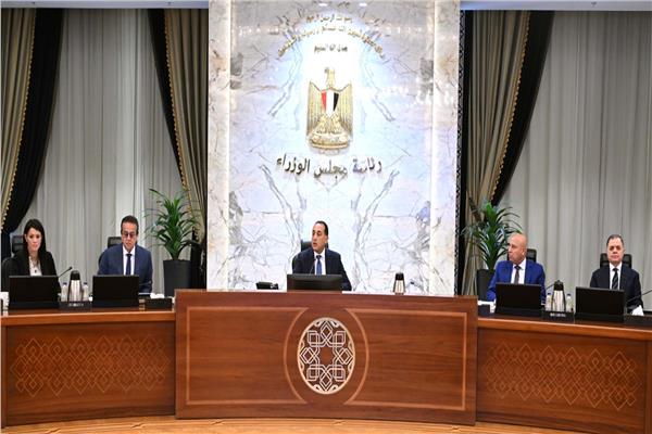 الزراعة والصناعة والكهرباء.. 8 قرارات هامة خلال اجتماع الحكومة اليوم