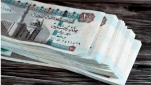 بدءًا من 20 يوليو.. صرف مرتبات العاملين بالدولة بالزيادة الجديدة