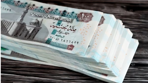 بدءًا من 20 يوليو.. صرف مرتبات العاملين بالدولة بالزيادة الجديدة