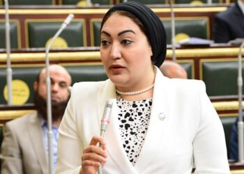 نائبة: مصر تقود جهودًا تاريخية لإنهاء حرب غزة وتواصل دفاعها عن فلسطين