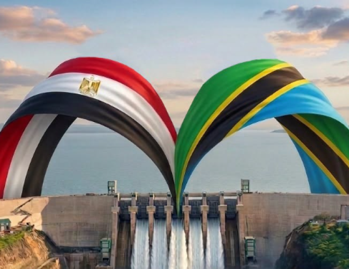 خبير يوضح.. ما أهمية مشاركة مصر في مشروع جوليوس نيريري؟