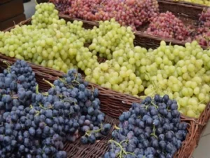 محصول العنب يتصدر المركز الرابع ضمن قائمة أهم الصادرات الزراعية المصرية بإجمالي كميات بلغت نحو 180 ألف طن