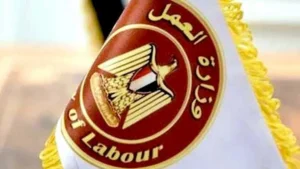 بمرتبات تصل الي 20 الف جنيه .. وزارة العمل تعلن عن توافر 101 فرصة عمل بشركة للمكسرات والحبوب في محافظة القليوبية