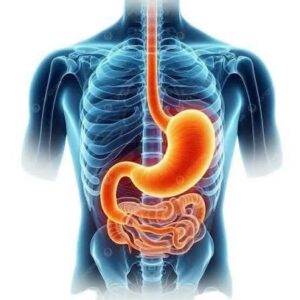 لصحة الأمعاء.. 3 عصائر صحية تحتوي على كمية كبيرة من الألياف